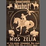 Miss Zelia