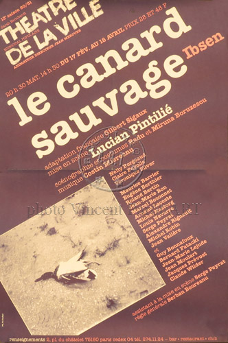 l'affiche originale: Le Canard sauvage