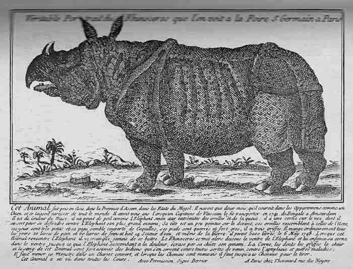 Rhinoceros à la Foire Saint-Germain